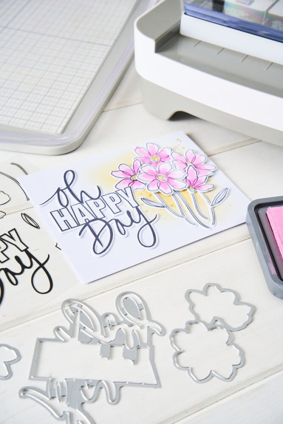 Sizzix - Stanzschablone & Stempelset "Di Oh Happy Day" Thinlits Craft Dies & Clear Stamps by by Vicki Boutin