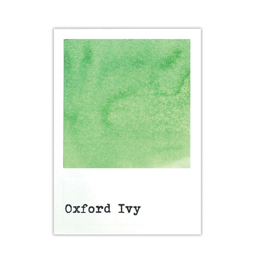 Ranger - Dye Ink Reinker "Oxford Ivy" Design by 49 and Market - Nachfüller