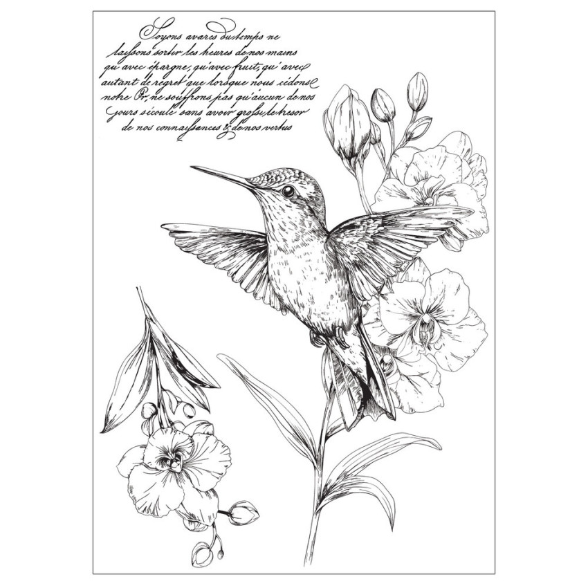 Sizzix - Schablone & Stempelset "Hummingbird and Orchids" Stencil & Clear Stamps by Willow Wolfe