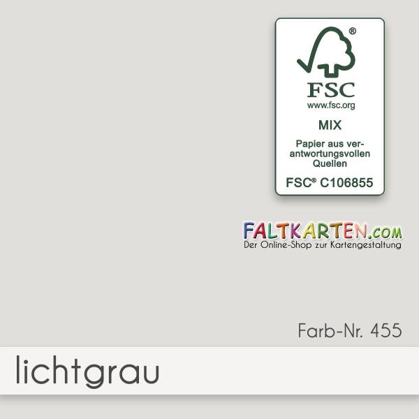 Cardstock "Premium" 12"x12" 240g/m² (30,5 x 30,5cm) in lichtgrau